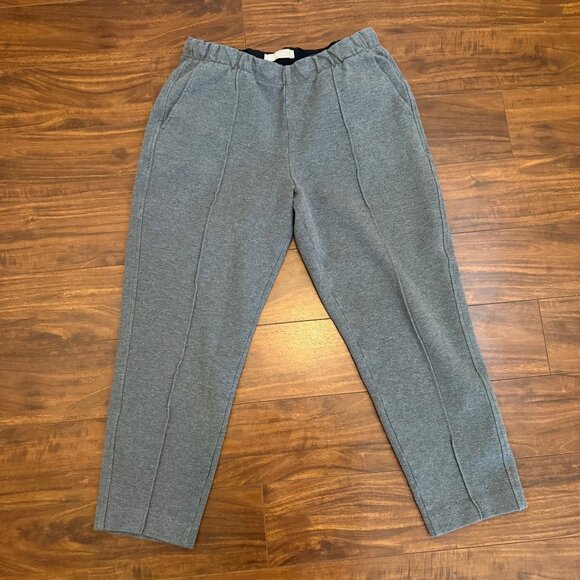 Everlane Women's The Dream Pant Size M Gray Tailored Look Sweat Pant Feel - Picture 4 of 12